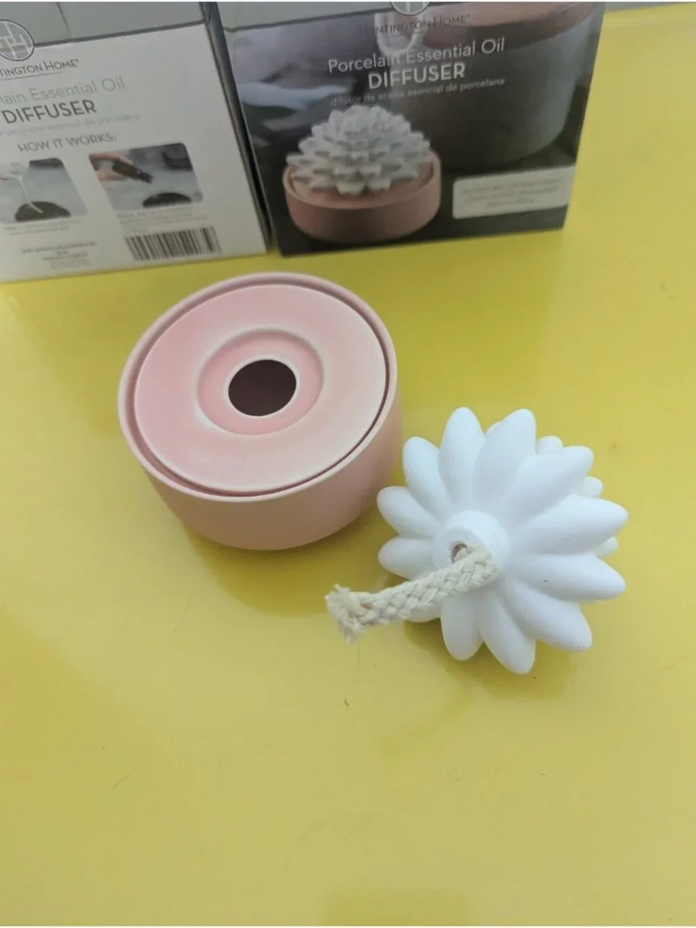 Huntington Home Porcelain Succulent Essential Oil Diffuser Aromatherapy NEW